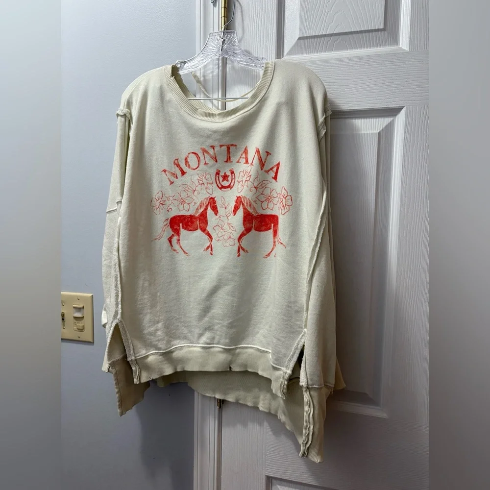 We the Free People Graphic Camden Montana Oversized Pullover Sweatshirt Small - Picture 2 of 5